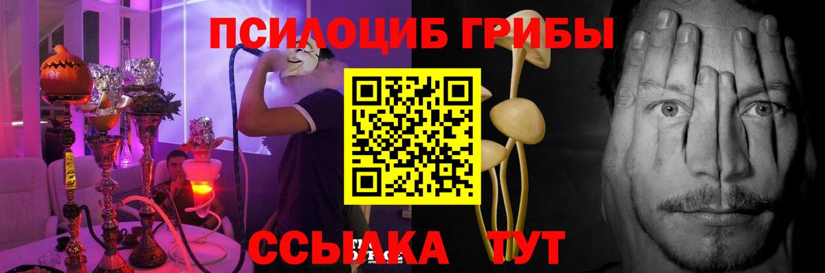 Родники  Галлюциногенные грибы GOLDEN TEACHER  Галлюциногенные грибы Psilocybine cubensis  Вход с VPN 