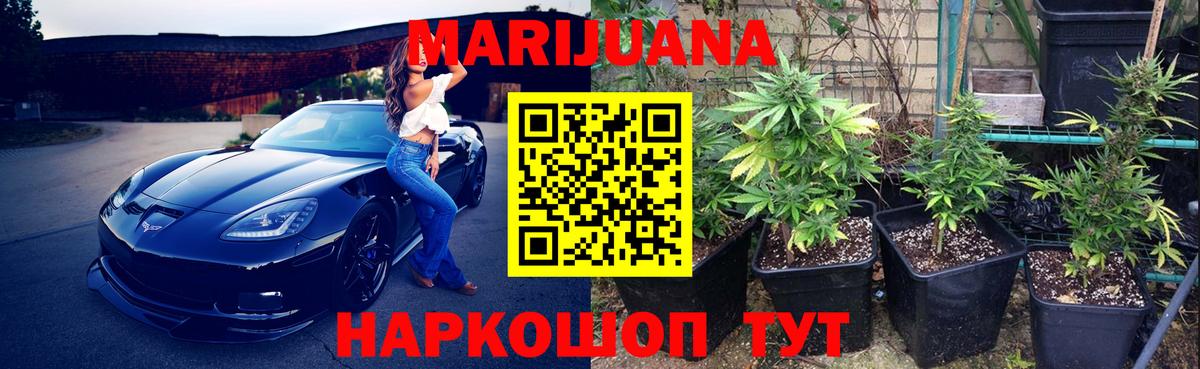 Конопля ГИДРОПОН Родники
